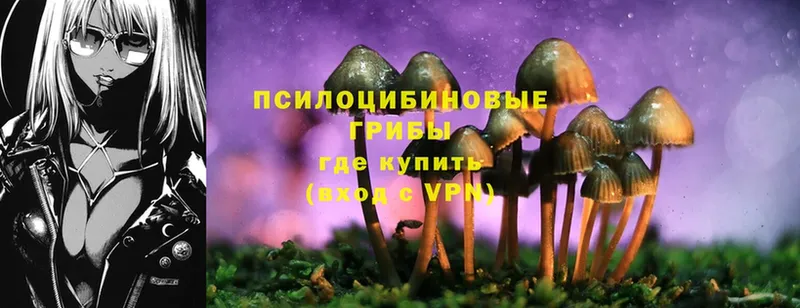 Псилоцибиновые грибы Psilocybine cubensis  площадка наркотические препараты  Тюкалинск 